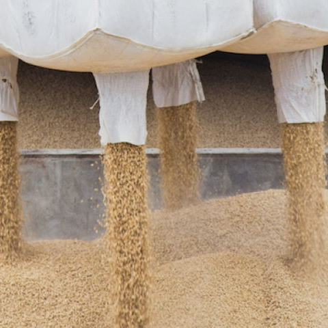 puupelletti 500kg