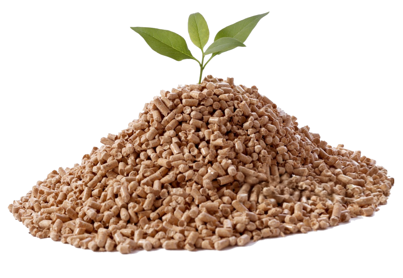 puupelletti3